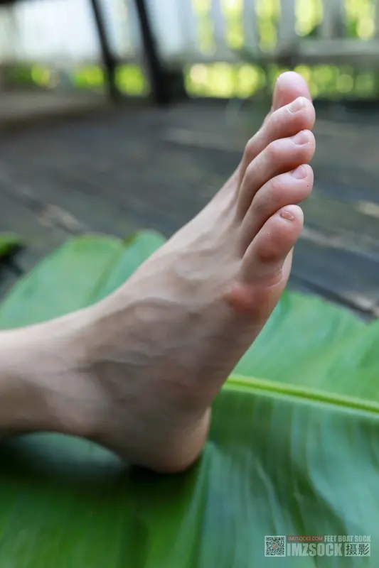 [MZSOCK]爱美足 NO.119 可可 11